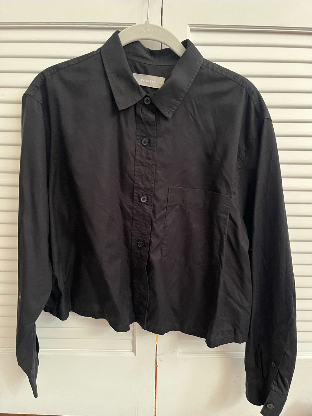 Everlane Cropped Button Down Shirt